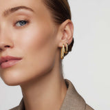 Iconische Ringen