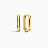 Iconische Ringen